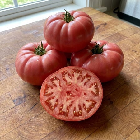 Big Brandy, (F1) Tomato Seeds - Packet image number null